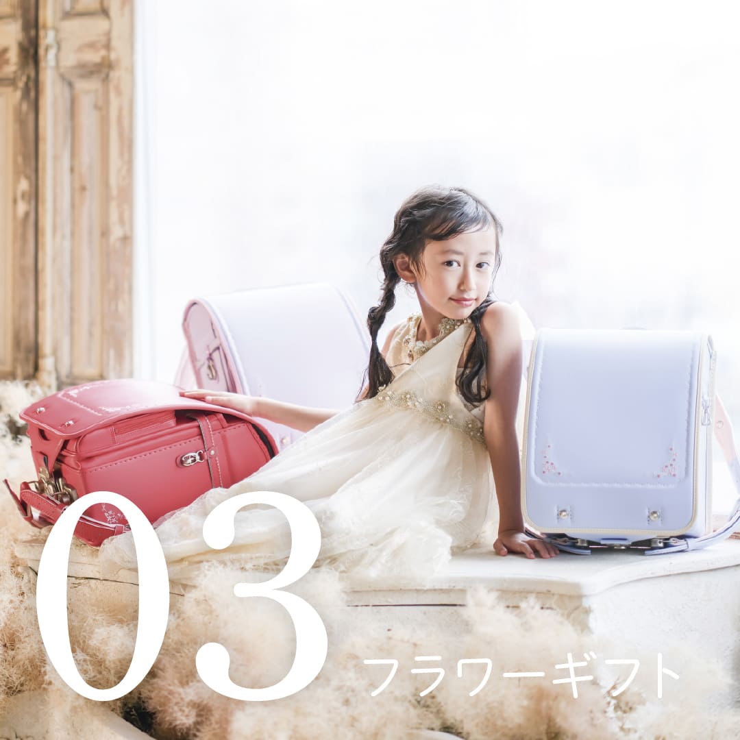 �����ᤷ���ɥ���B-3����(������������