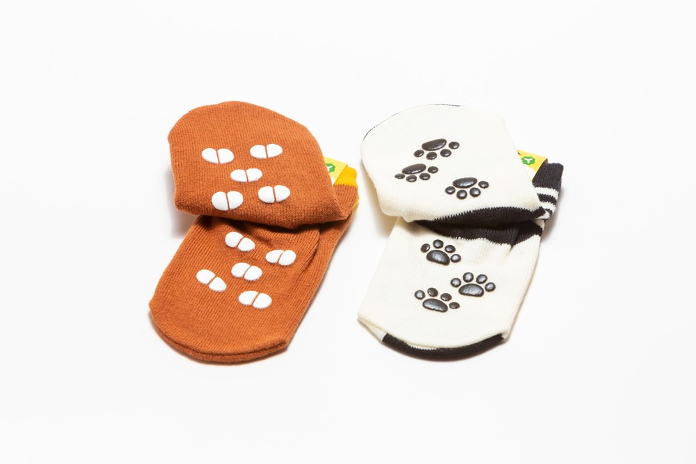 �٥ӡ����å���������