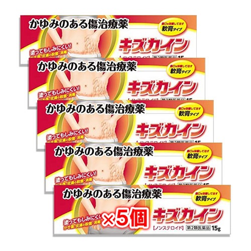 【第2類医薬品】キズカイン 15g×5個セット【丹平製薬】かゆみのある傷治療薬 かゆくてなかなか治らないかき傷に 殺菌消毒薬 ノンステロイド 軟膏