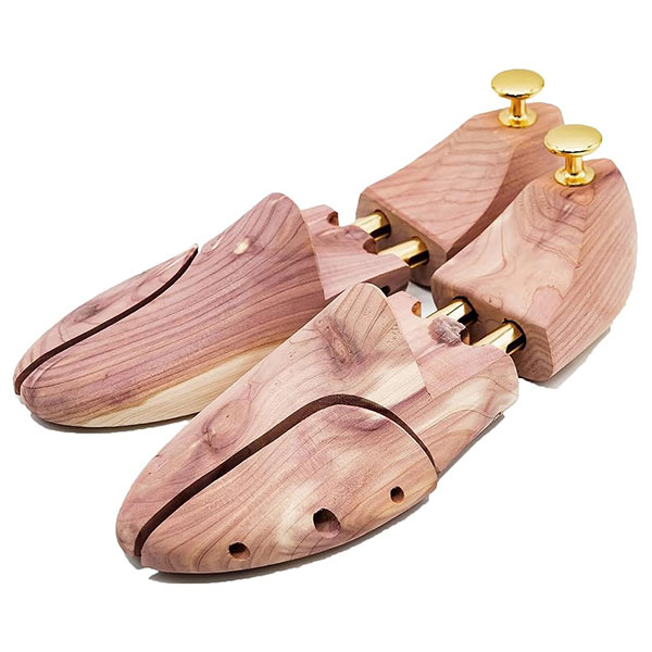 DM - 1461  シダーシューツリー