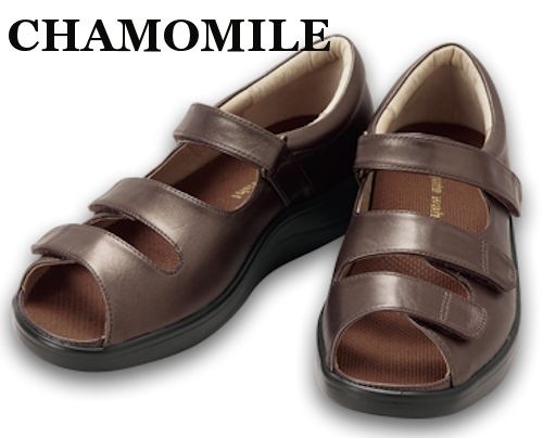 gute wahl �����ƥ������� CHAMOMILE ����ߡ����٥��+��������