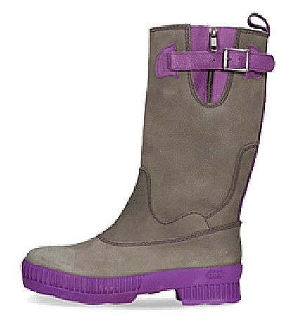 ZOO �����ɿ�쥶���֡��� 22303 ���졼�ѡ��ץ�