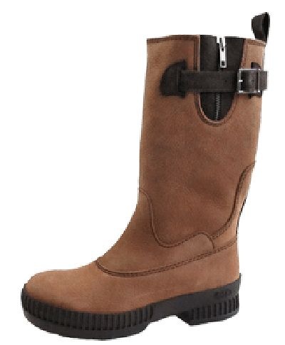 ZOO ɿ쥶֡ 22303 ֥饦