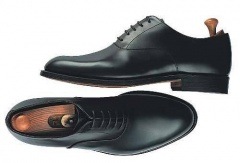 �Ф�����ͧϺ�ץ饦���type�� ��/sen ES-01��Oxford-�ץ졼��ȥ�-
