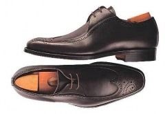 �Ф�����ͧϺ�ץ�����type��ŵ/ten CS-105 2eyes Wing��2������åȡ������󥰥��åס�