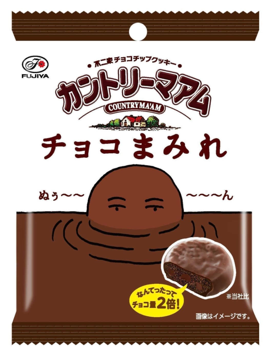 チョコまみれ 不二家 カントリーマアムチョコまみれ 48g×10個｜ビスケット・クッキー