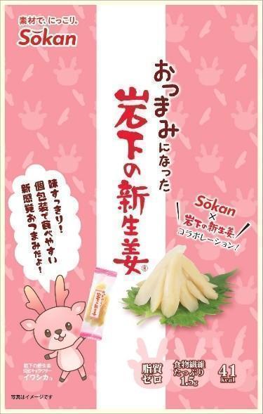 壮関 おつまみになった岩下の新生姜 43g×6袋