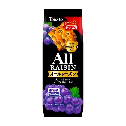 東ハト オールレーズン 12枚×12個