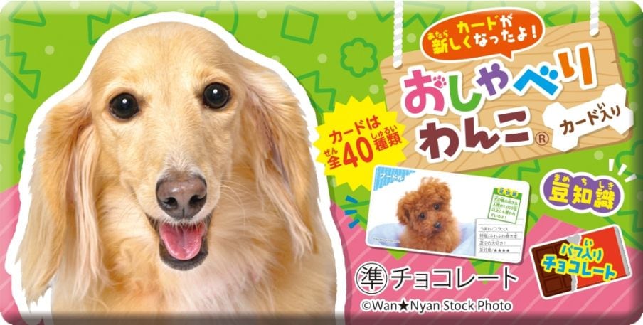 正栄デリシィ おしゃべりわんこ 1枚×20個