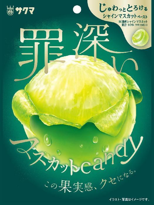 サクマ製菓 罪深いマスカットキャンディ 54g×10個