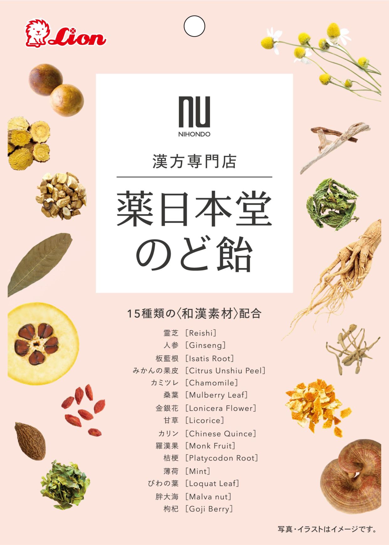 ライオン菓子 薬日本堂のど飴 63g×6個