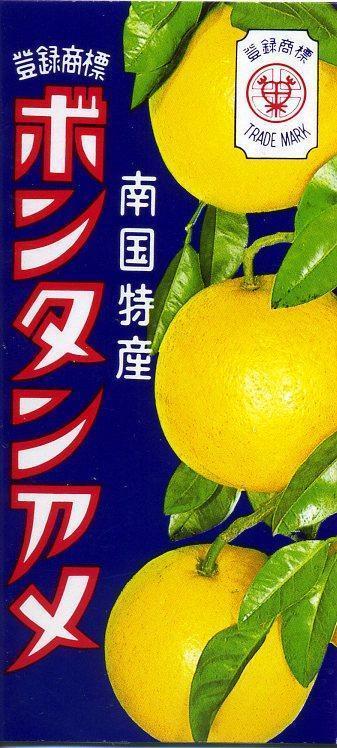 セイカ食品 ボンタンアメ 14粒×10箱