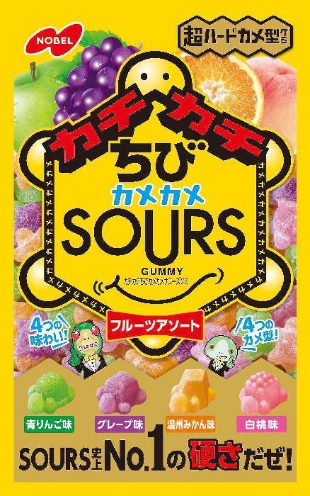 ノーベル製菓 カチカチちびカメカメサワーズフルーツアソート 70g×6個