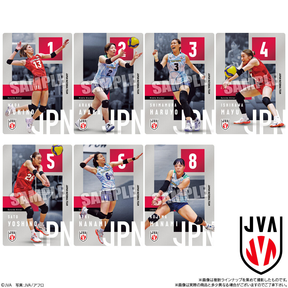 バンダイ JAPAN NATIONAL VOLLEYBALL TEAM -女子日本代表ver.- ツイン