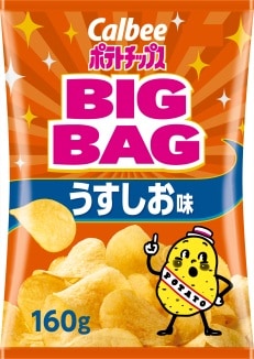 カルビー ポテトチップスBIGBAG（ビッグバッグ） うすしお味 160g×12袋