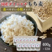 400ｇ×12袋 小粒タイプ 国産ダイシモチ100% にっぽんのもち麦