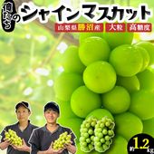 【予約販売】1.2kg（2房） 山梨県勝沼産 大粒 俺たちのシャインマスカット おいしいご縁