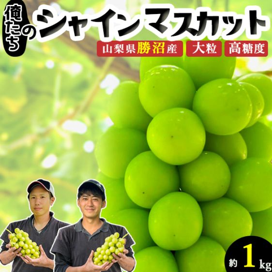 【予約販売】1kg 山梨県勝沼産 大粒 俺たちのシャインマスカット
