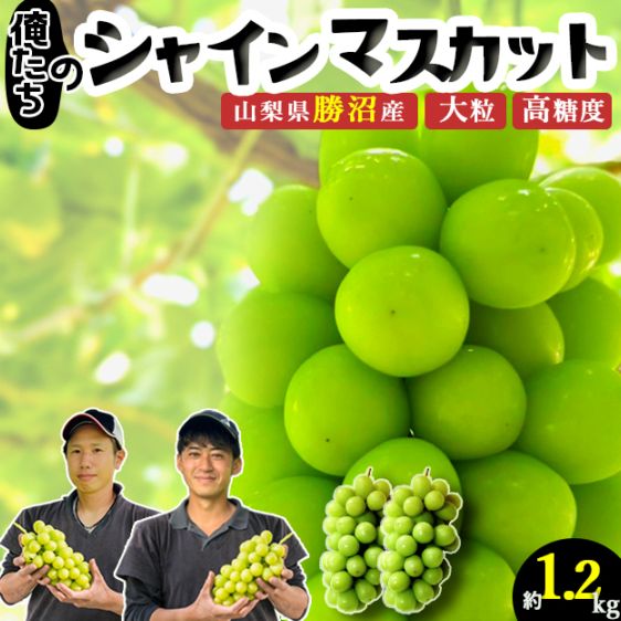 【予約販売】1.2kg（2房） 山梨県勝沼産 大粒 俺たちのシャインマスカット おいしいご縁