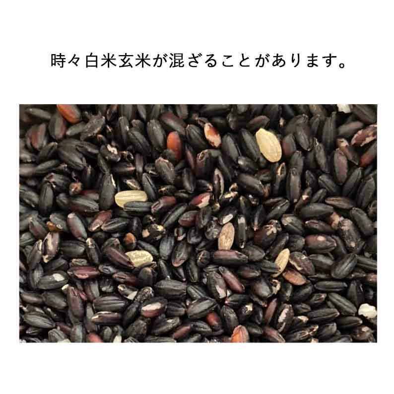 400g 秋田県産・厳選古代米 黒米 おいしいご縁 | 桑郷 オンラインショップ
