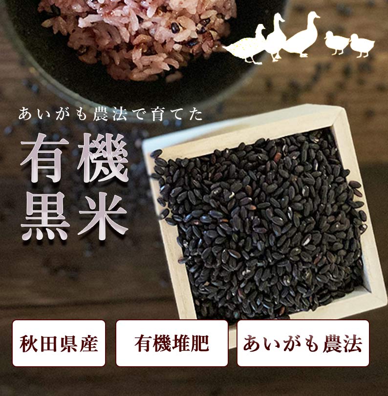 黒米（感謝） 黒米 雑穀 雑穀米 国産 2.7kg (900g×3袋) 古代米 紫黒米 くろ