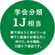 ̵벼Ѥۤ㥼꡼40(24005)