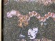 R-TYPE
