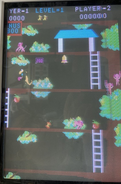 ���󥬥롼���Ѵ��ϡ��ͥ��դ�