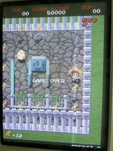 ����ѡ���