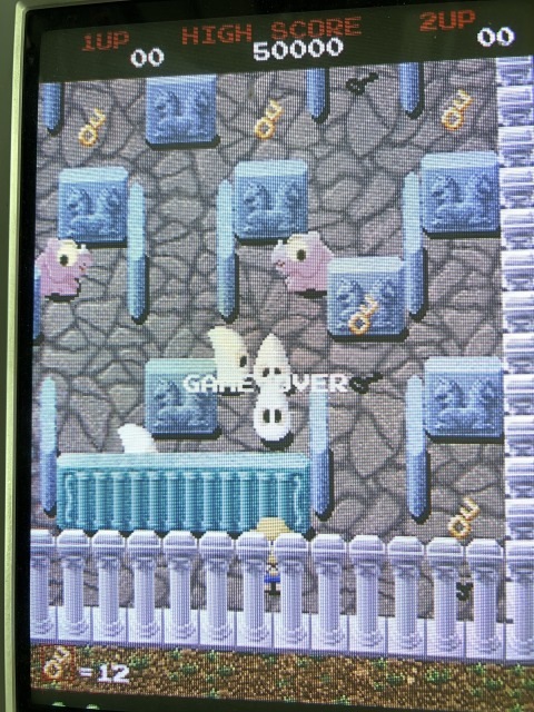 ����ѡ���