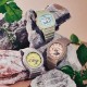 G-SHOCK GMA-S2100NC-4AJF CASIO ����������٥��� ���ʥ������ǥ������ӻ��� �ߥåɥ����� ��ǥ����� �����ǥ� ����������