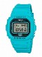 CASIO G-SHOCK ǥӻ  DW-5600EP-2JF  ENERGY PACK 