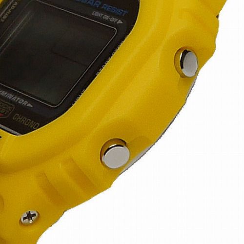 CASIO G-SHOCK ǥӻ  DW-5600REC-9JF      
