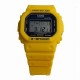 CASIO G-SHOCK ǥӻ  DW-5600REC-9JF     