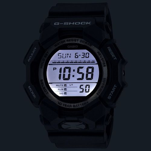 Gå ǥӻ GD-010-1JF  ֥å 10ǯ 