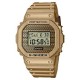 CASIO G-SHOCK ǥӻ  DWE-5600HG-1JR    ؤХɡ٥դ 