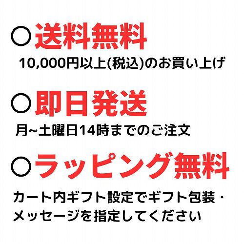 ������G����å� �����饤�� �ǥ������ӻ��� GBX-100S-1JF ��� ���ޡ��ȥե����󥯡����ꥢ���顼 ����������