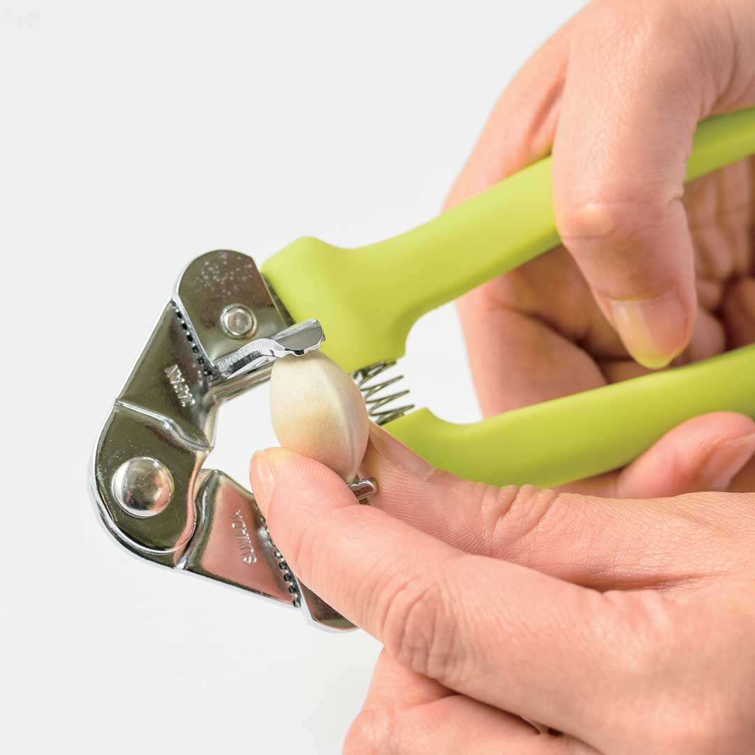 ぎんなんぼうず