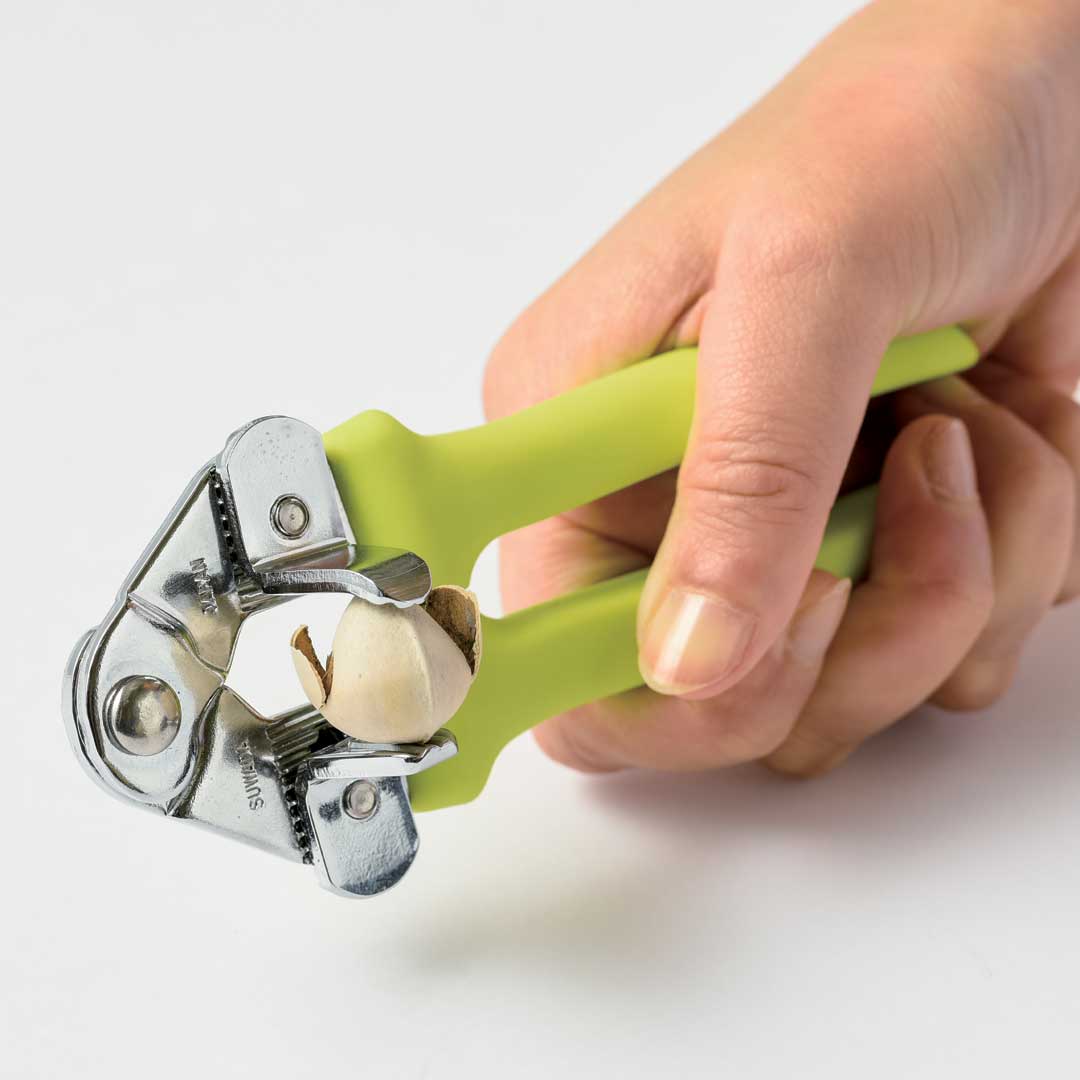 ぎんなんぼうず