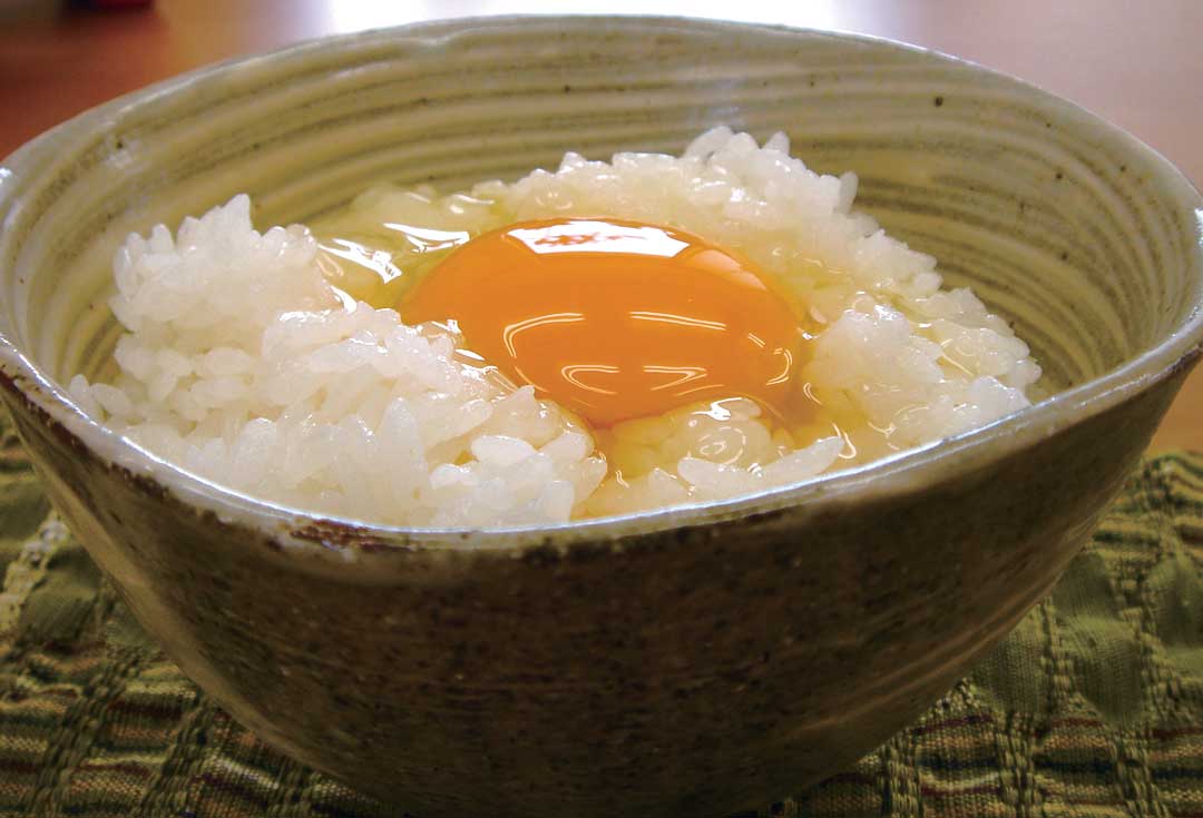 信楽焼　卵かけご飯専用茶碗