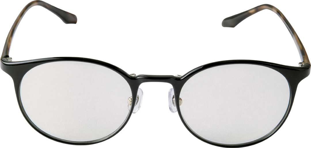 鯖江オールタイムサングラス ウィル