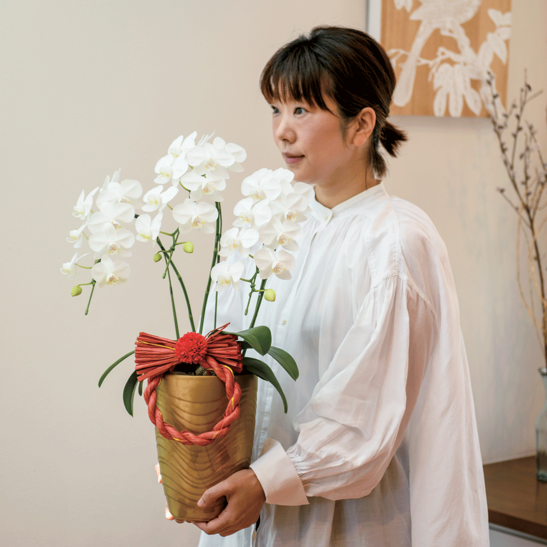 胡蝶蘭「アマビリス」３本立