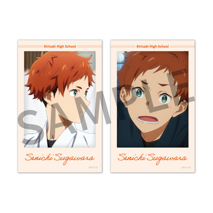 �ĥ�� �ݤĤʤ���ΰ�͡� �٥��ȥ���åȡ����ƥå������åȡڶ���⹻�ۡں߸��ʡ�