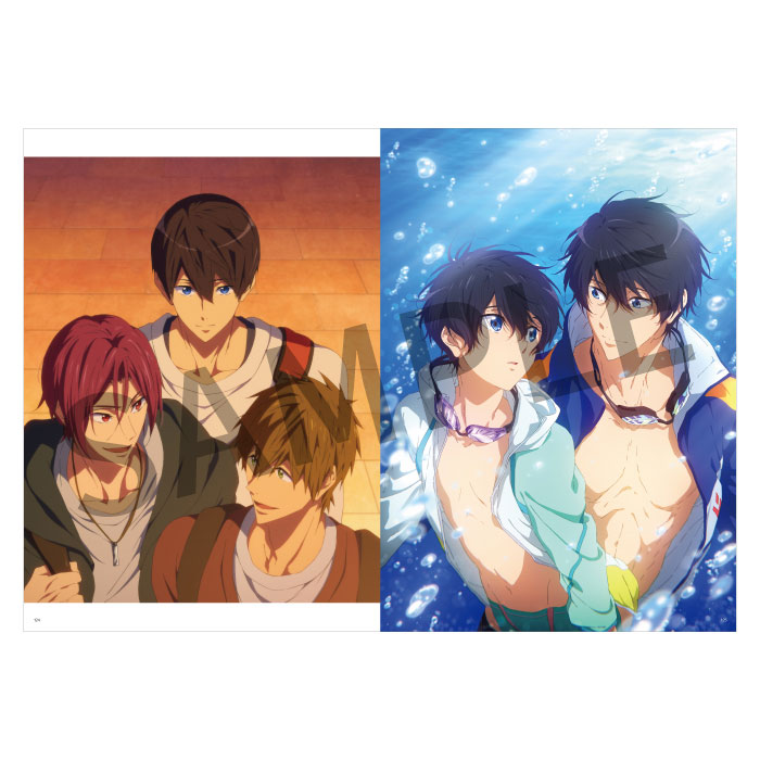 Free! Series Illustration works vol.2【在庫品】