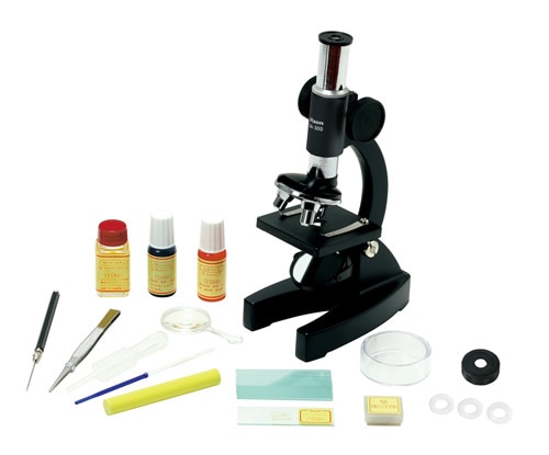 �ӥ����󡡥ߥ�������å�300��������λ�������