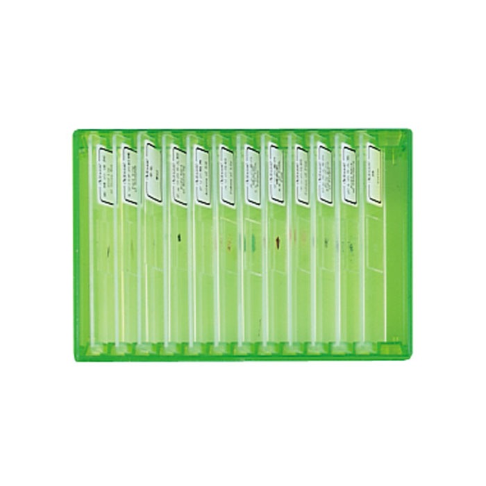 �ӥ����󡡴ѻ��ץ�ѥ顼�ȥ��åȡ�������λ�������