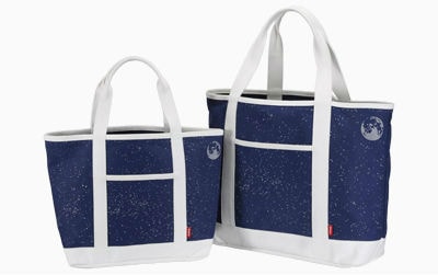 �ӥ�������ȡ��ȥХå� L