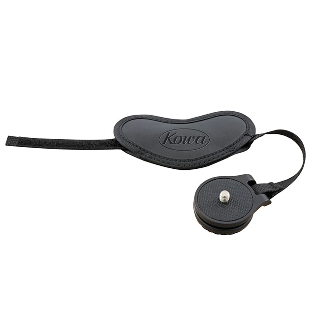 �����C-550���꡼��/C-500���꡼���ϥ�ɥ��ȥ�åס�TSN-HD
