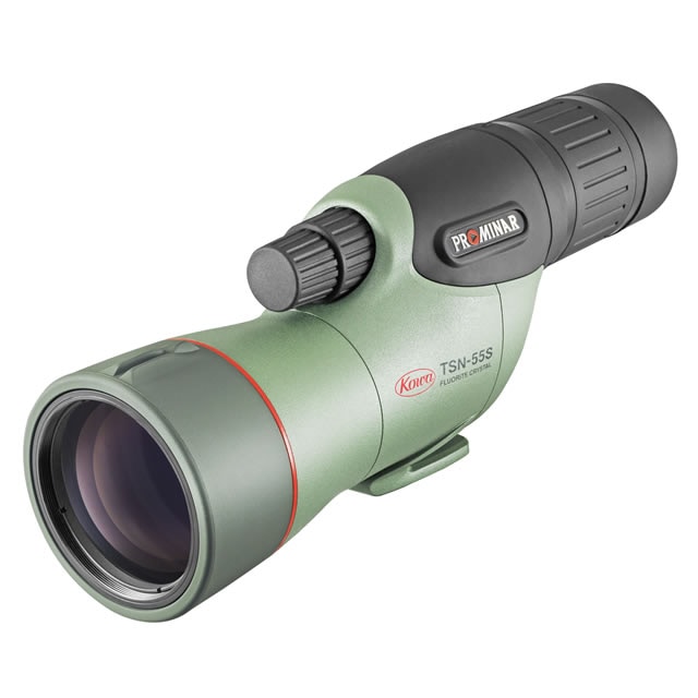 �����TSN-55S PROMINAR��ľ�뷿��