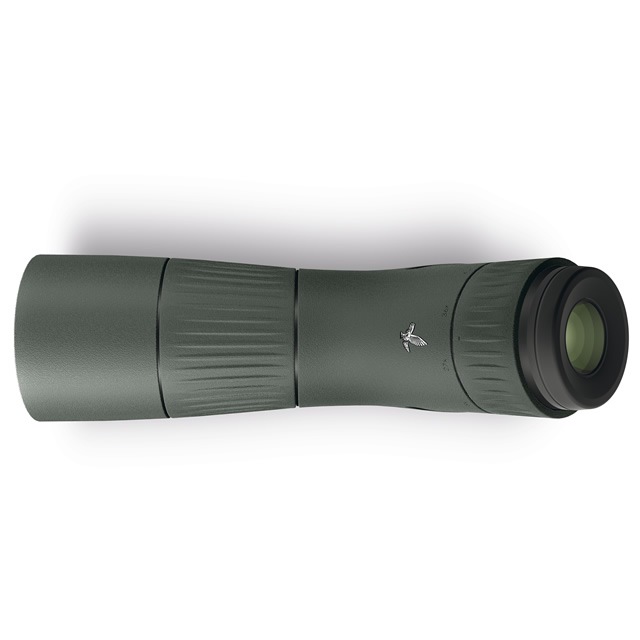 ������ե�������AT Balance 18-45x65��2025ǯ12��22����ͽ����ճ��ϡ�